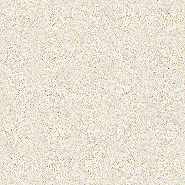 Palette Residential Carpet