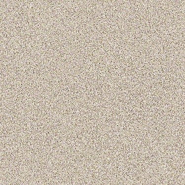 Palette Residential Carpet