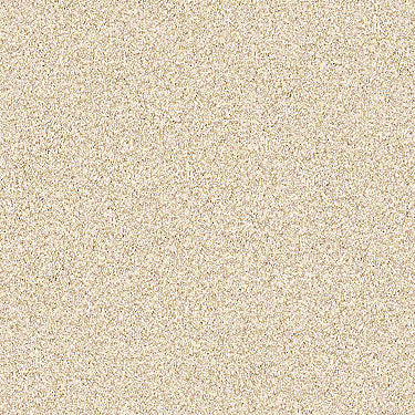 Palette Residential Carpet