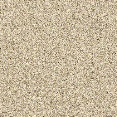 Palette Residential Carpet