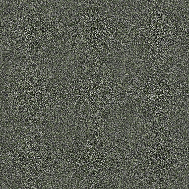 Palette Residential Carpet