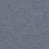 Palette Residential Carpet