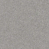 Palette Residential Carpet