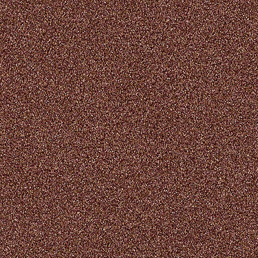 Palette Residential Carpet
