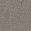 Palette Residential Carpet