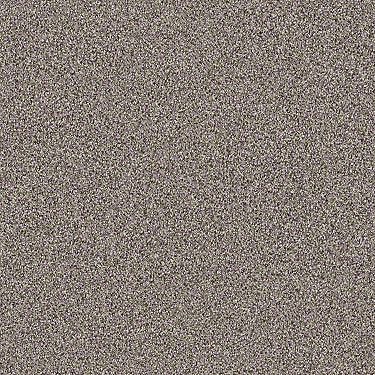 Palette Residential Carpet