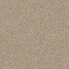 Palette Residential Carpet