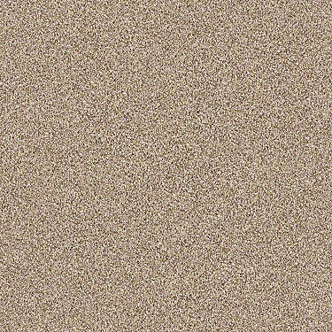 Palette Residential Carpet