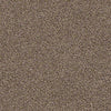 Palette Residential Carpet
