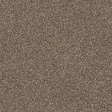 Palette Residential Carpet