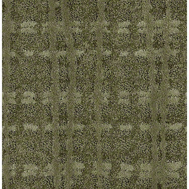 Pure Envy Residential Carpet