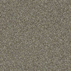 Of Course We Can II 12' Residential Carpet
