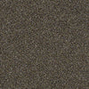 Of Course We Can II 12' Residential Carpet
