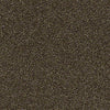 Of Course We Can III 12' Residential Carpet