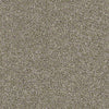 Of Course We Can III 15' Residential Carpet