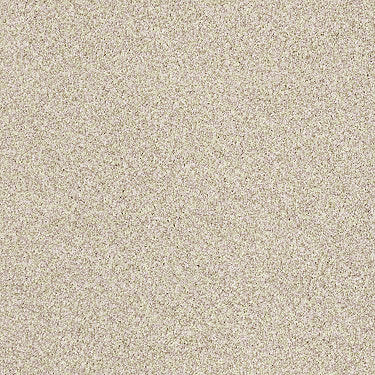 Super Buy 55 Residential Carpet