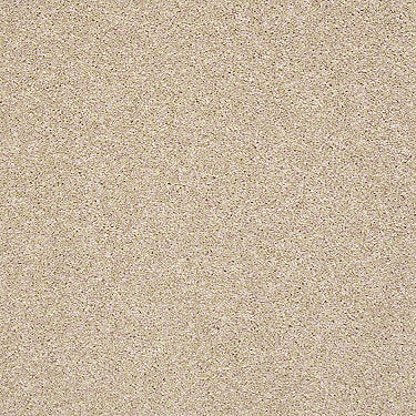 Super Buy 55 Residential Carpet