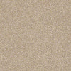 Super Buy 55 Residential Carpet