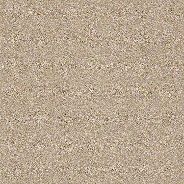 Super Buy 55 Residential Carpet