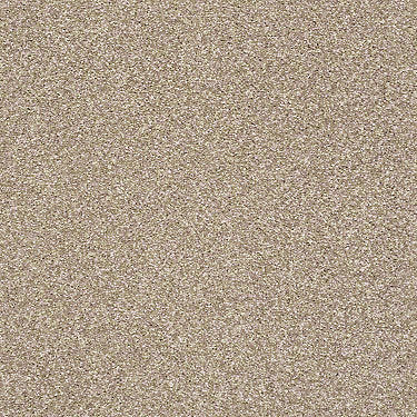 Super Buy 55 Residential Carpet