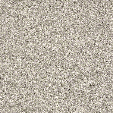 Super Buy 55 Residential Carpet