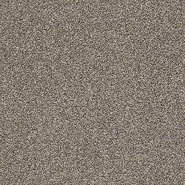 Super Buy 55 Residential Carpet