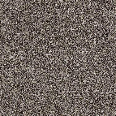 Super Buy 55 Residential Carpet