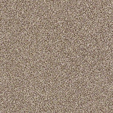 Super Buy 55 Residential Carpet