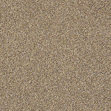 Super Buy 55 Residential Carpet