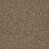 Super Buy 55 Residential Carpet