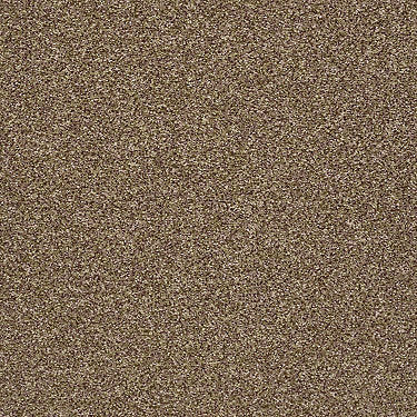 Super Buy 55 Residential Carpet