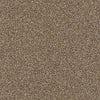 Super Buy 55 Residential Carpet