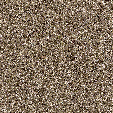 Super Buy 55 Residential Carpet