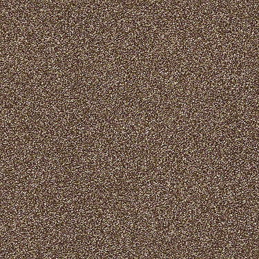 Super Buy 55 Residential Carpet