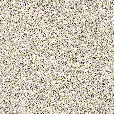 Mix It Up Residential Carpet