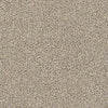 Mix It Up Residential Carpet