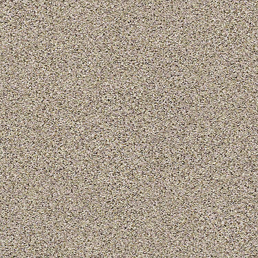 Mix It Up Residential Carpet