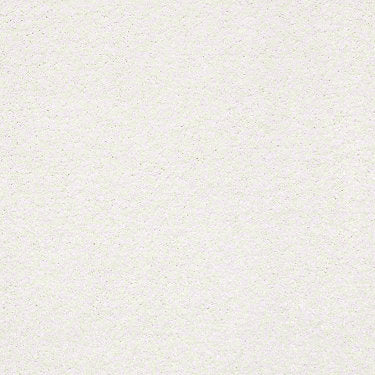 Basic Rules Residential Carpet