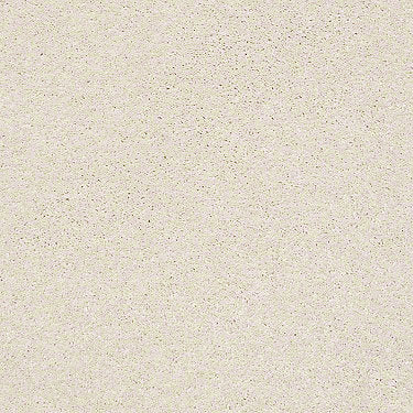 Basic Rules Residential Carpet