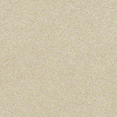Basic Rules Residential Carpet