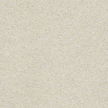 Basic Rules Residential Carpet