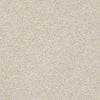 Basic Rules Residential Carpet