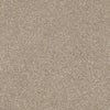 Basic Rules Residential Carpet