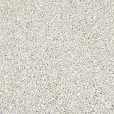 Basic Rules Residential Carpet
