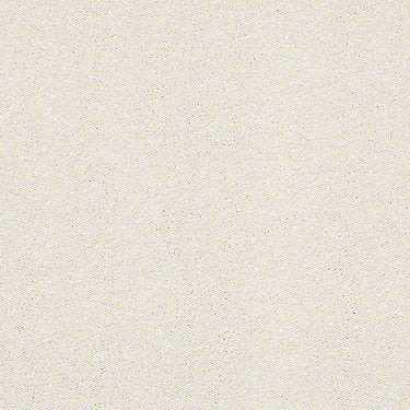 Basic Rules Residential Carpet