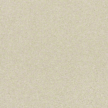 Basic Rules Residential Carpet