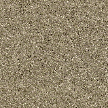 Basic Rules Residential Carpet