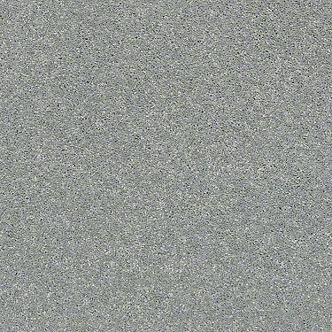 Basic Rules Residential Carpet