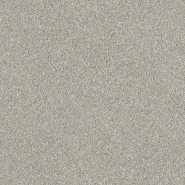 Basic Rules Residential Carpet