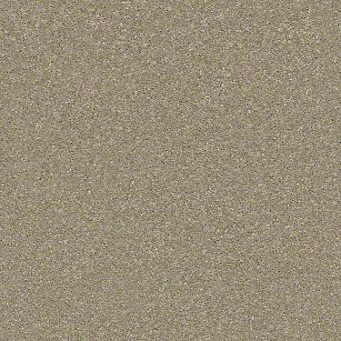 Basic Rules Residential Carpet